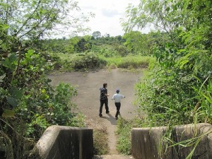 Wright Consulting International PPP